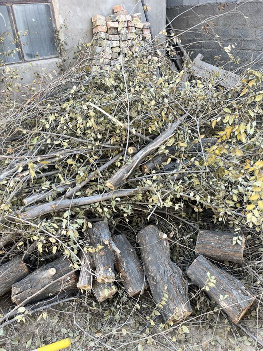 Отын дрова бесплатно