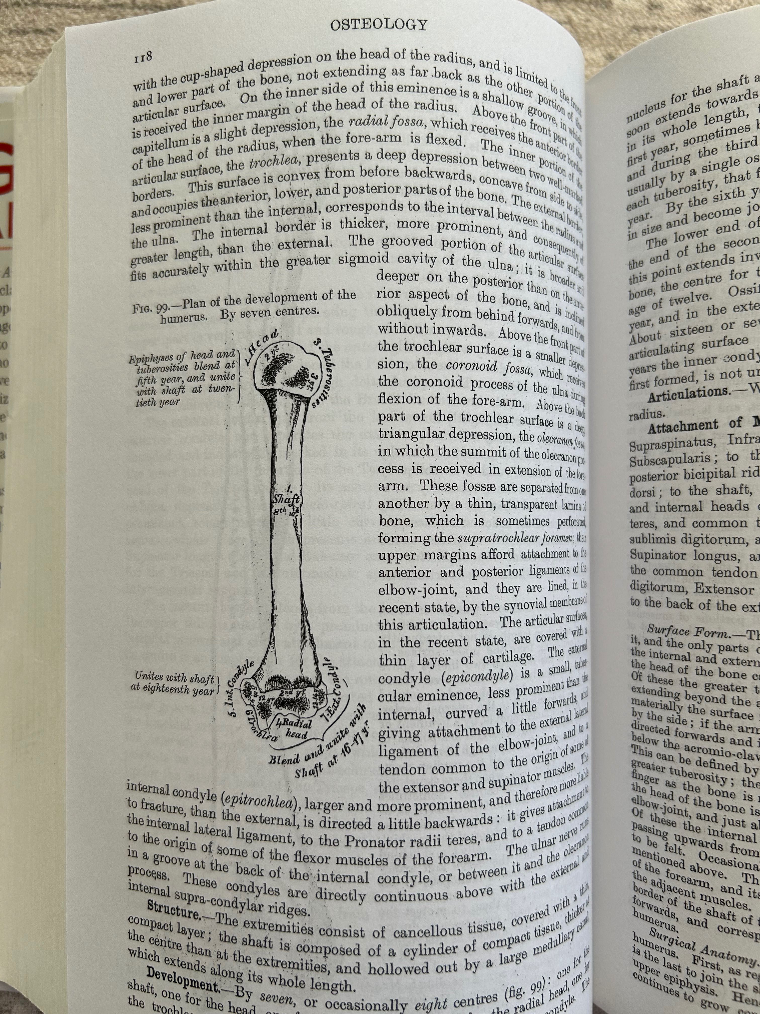 Анатомията на Грей - Gray's Anatomy