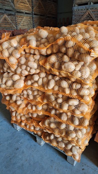 Vand cartofi consum si animale