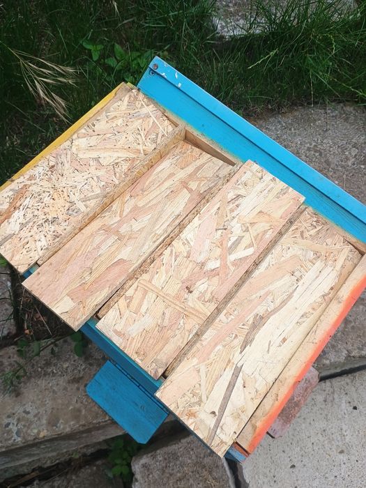 20 nuclee de împerechere