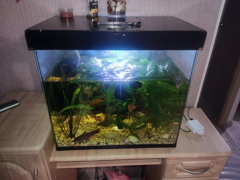 Аквариум 60 литров