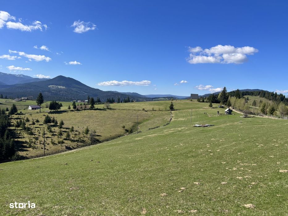 Teren de vânzare 2500mp Piatra Fântânele