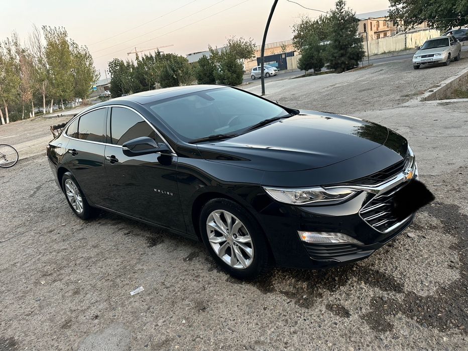 Malibu primier 2022 ideal.
