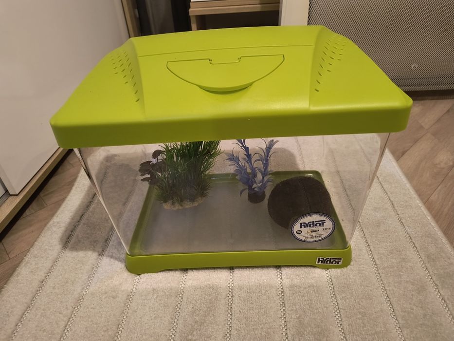 Пластмасов аквариум + подарък украса