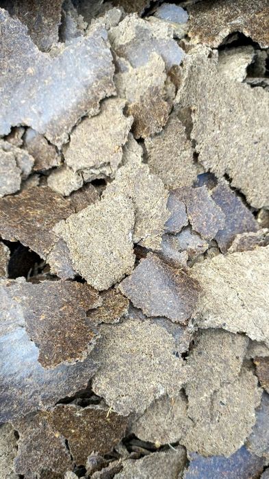 Продам жмых льняной масло