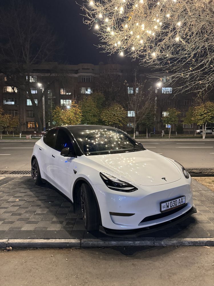 Tesla Model Y Performance 2023 carbon