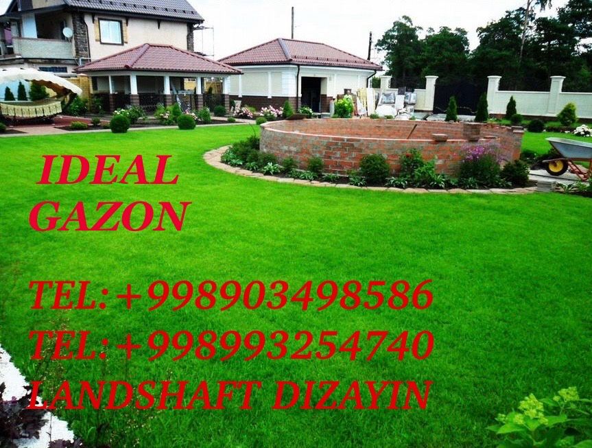 Ideal gazon gazon ekish,lanshaft,maskitni setka o’rnatush