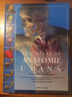 Nou atlas de anatomie umana - Thomas McCracken