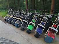 Scuter electric/Scooter Harley red flame