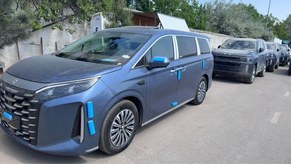 BYD XIA минивен янги божхонада