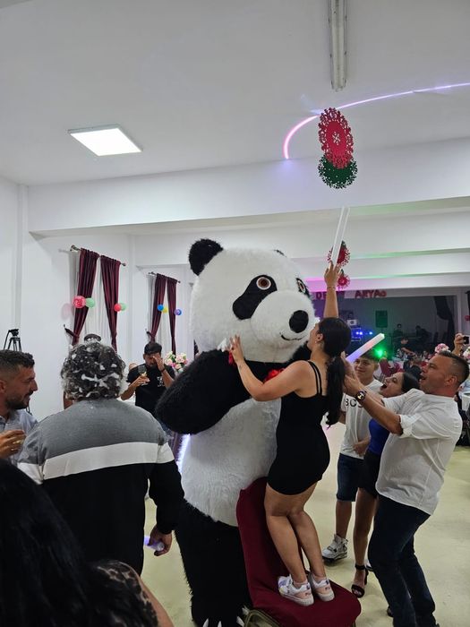 DJ evenimente //Fotograf//Mascote