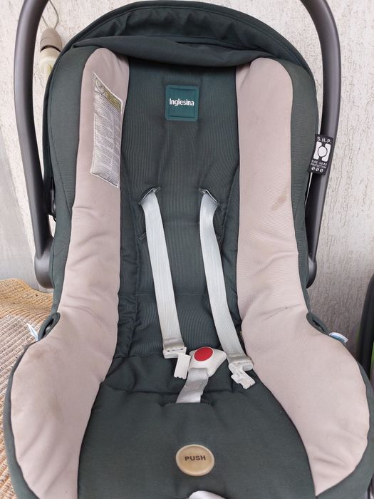 Vand scoica Inglesina