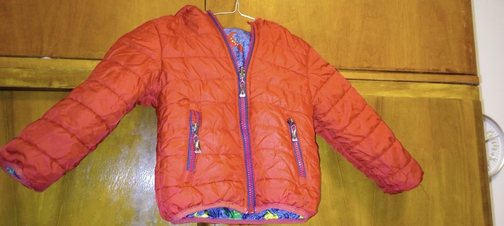 Червено яке с две лица, на динозаври от едната страна