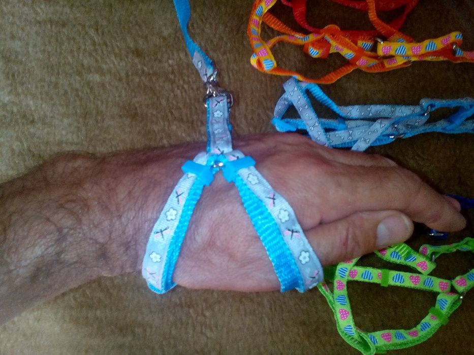 Нагръдник с повод за дребни породи кученца