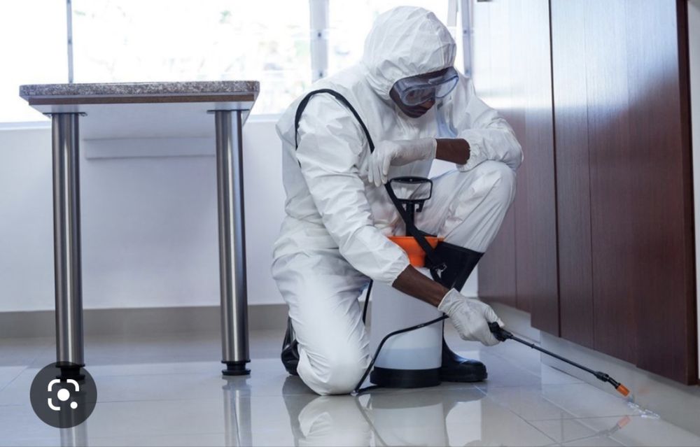 Уничтожение клопов и тараканов Алматы