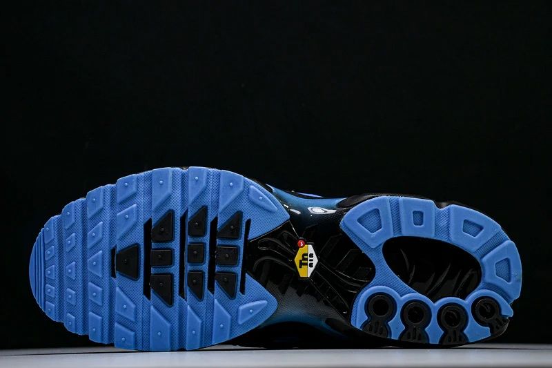 NIKE AIR MAX TN ‘Black University Blue’