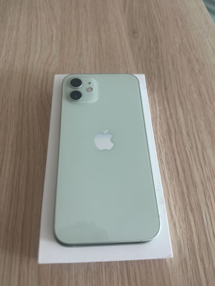 Iphone 12 mint green