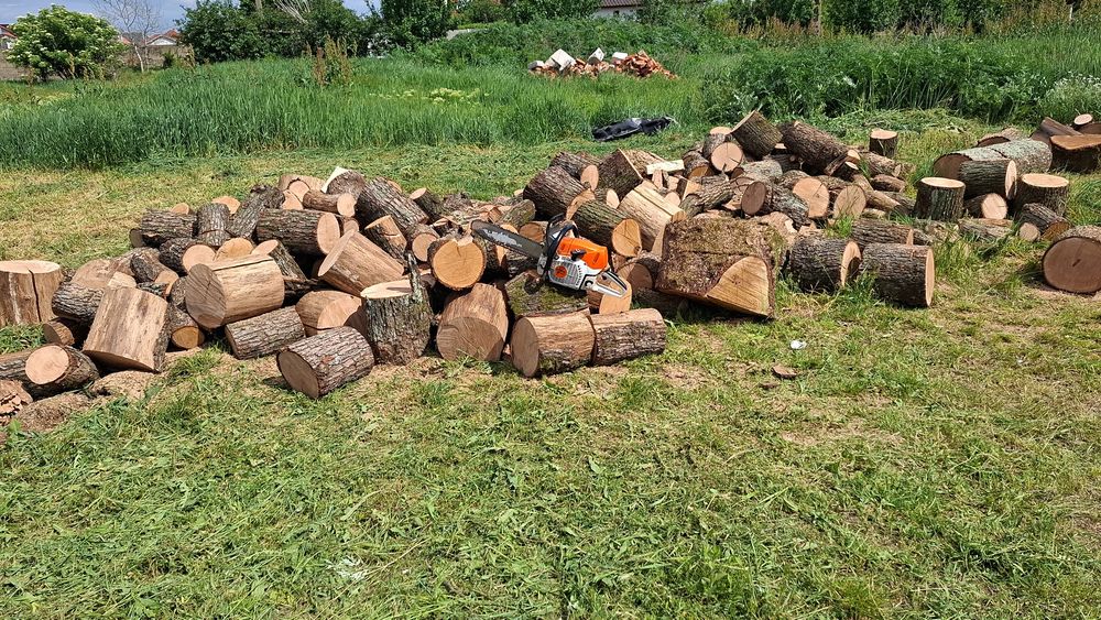 Tăiem lemne de foc