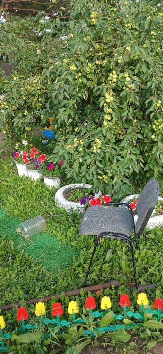 Продаю без торга. Дача на ромашке 8 км от маикудука. СОРТИРОВКА.