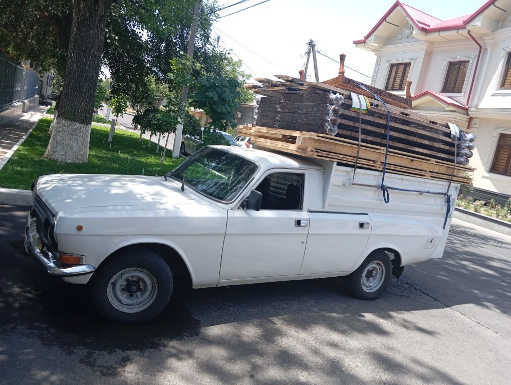 Volga pikab sotiladi