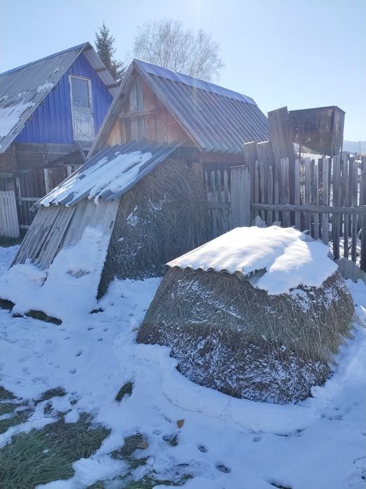 Продам сено, хорошего качества