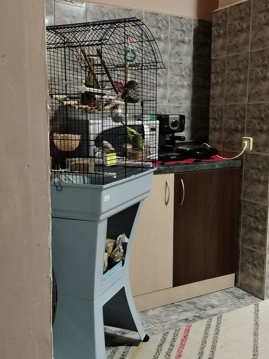 Vând cușcă papagali