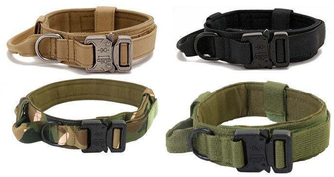 Ошейники для собак