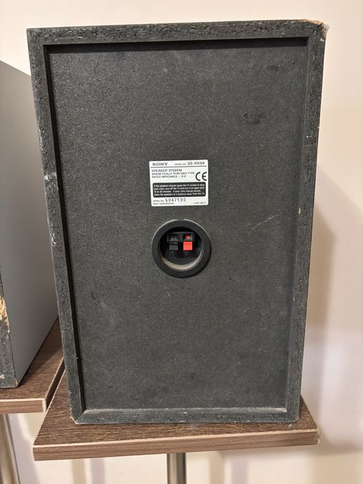 Тонколони Sony SS-RX99