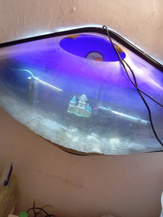 Acvariu 35,40 de litri