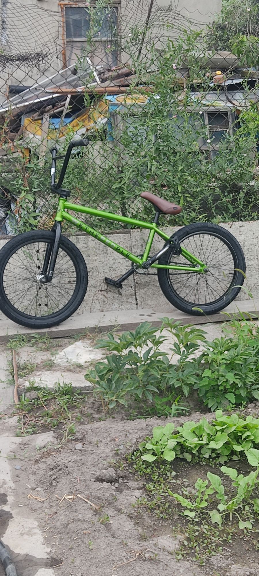 bmx wtp curse 20'