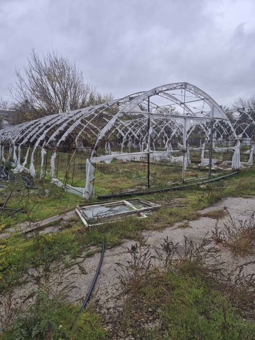 Оранжерия Асеновградска