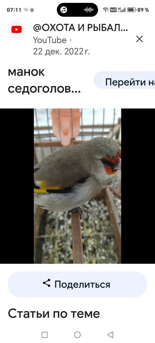 Продам щеглов алтайских