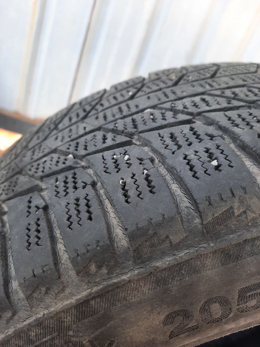 Зимние шины тригианже