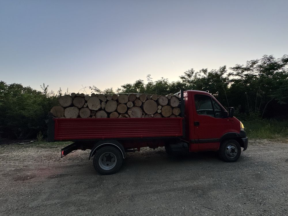 Vand lemn de foc in judetul Arad ESENȚĂ TARE