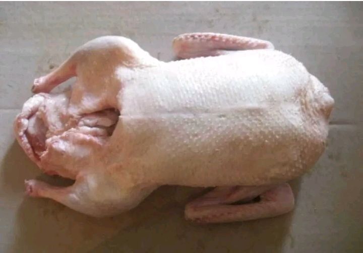 Продам гуся  домашний 1шт 5тыс