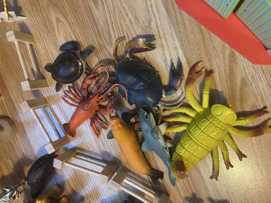 Животни с подарък зоологическа градина