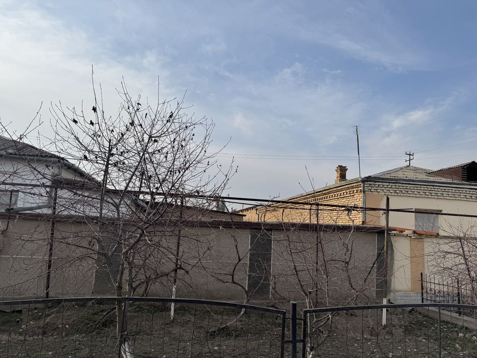 Bekobod tumani. Zafarda 4 so’tixli xovli sotiladi