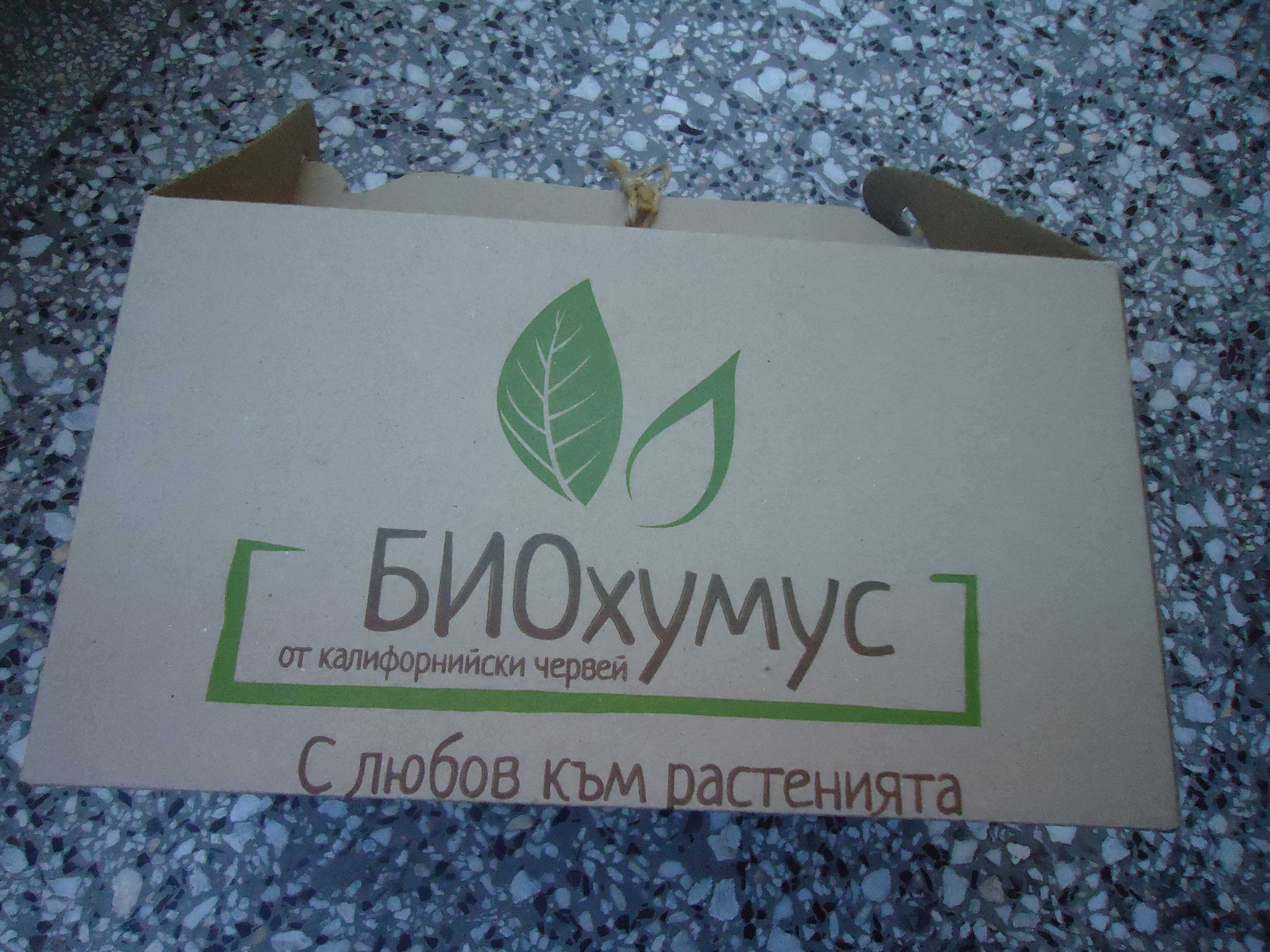 домашна градинка Направи си сам