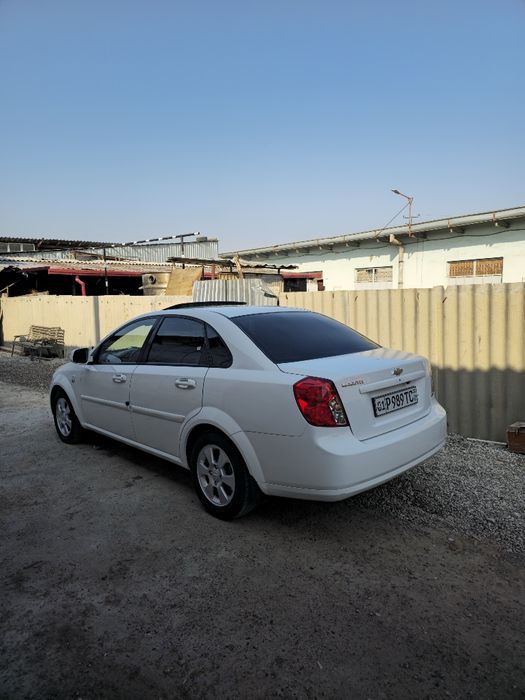 Genttira 2019 3 pazisa