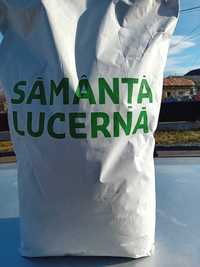 vind Saminta de Lucerna Selectata,Descuscutata si tratata.