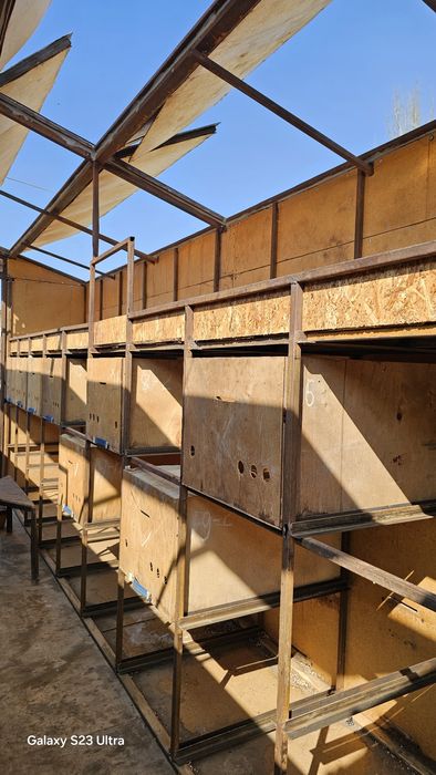 Asalari pavelioni sotiladi