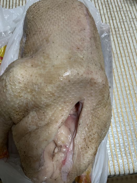 домашние гуси продам