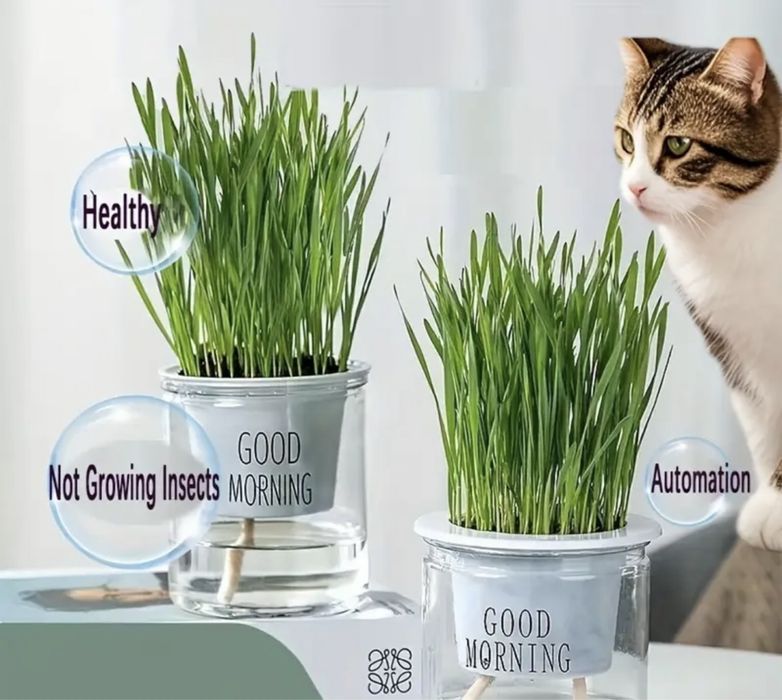 Саксийка за трева за домашни любимци