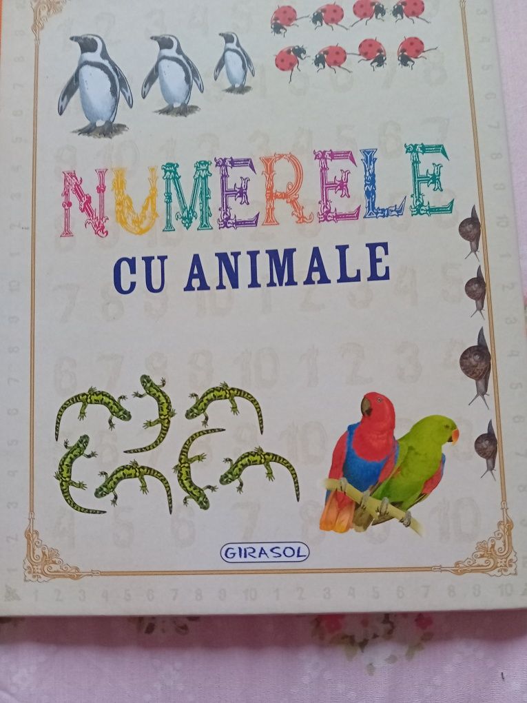 4 carti girasol alfabetul culorile contrariile numerele cu animale