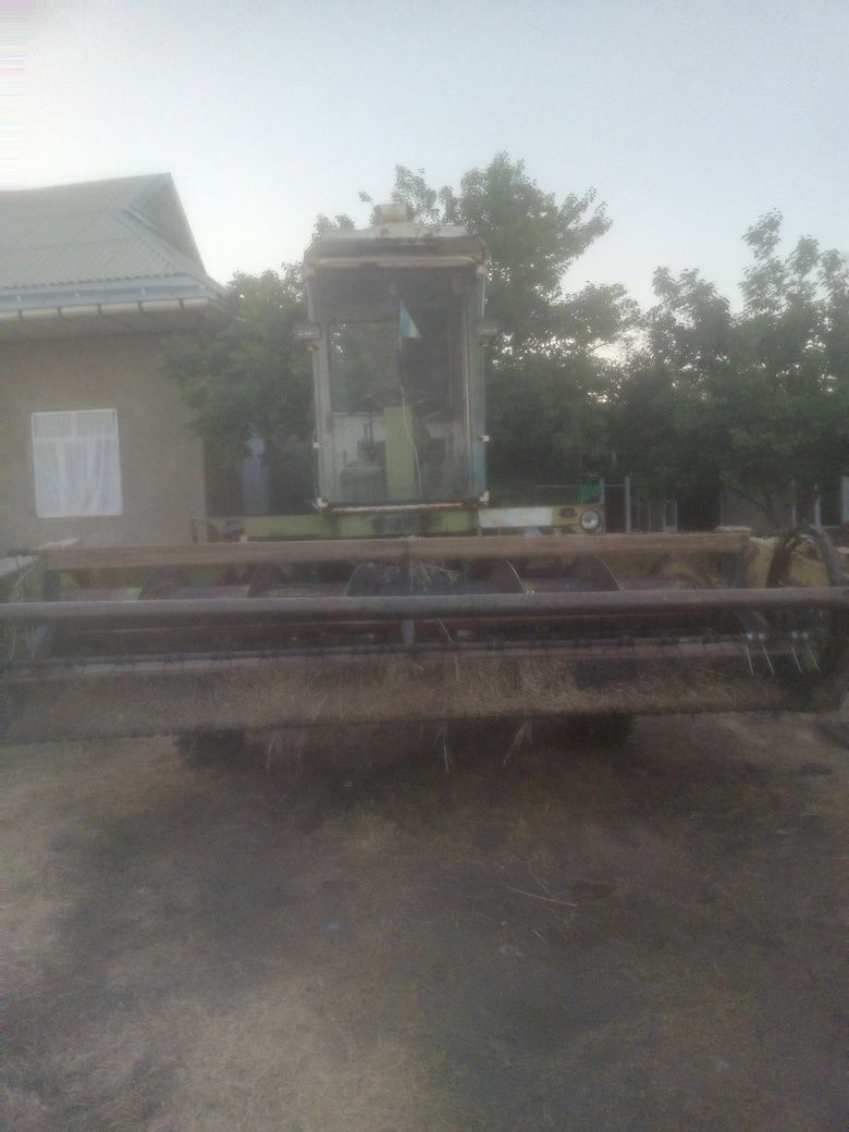 Maral303 beda urgich kambayn