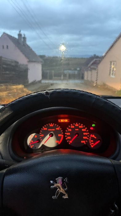 Vand Peugeot 206