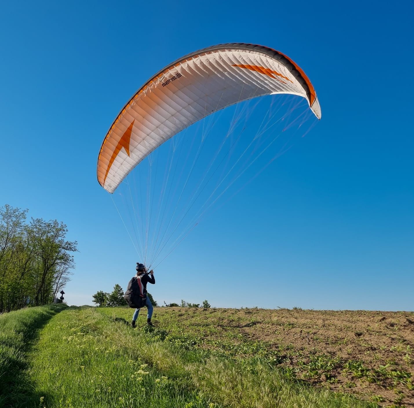 Parapanta: Aripa Swing Sensis S  2015