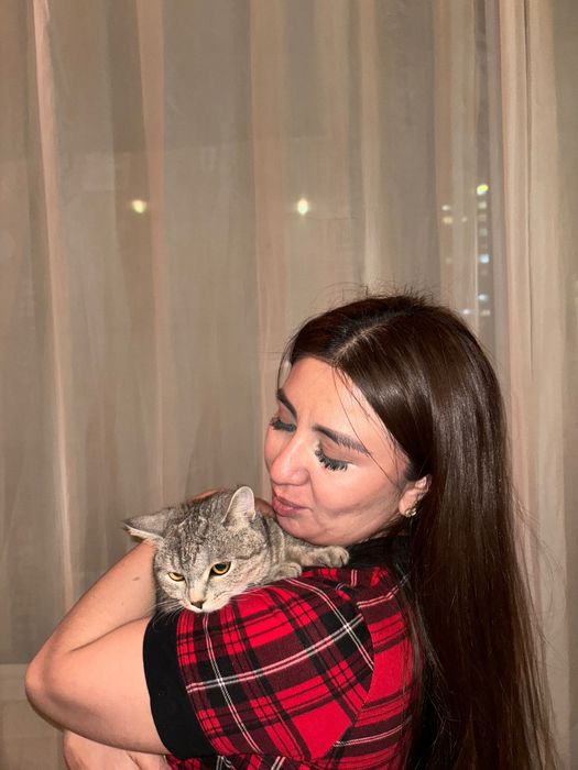 Кошка шотладская