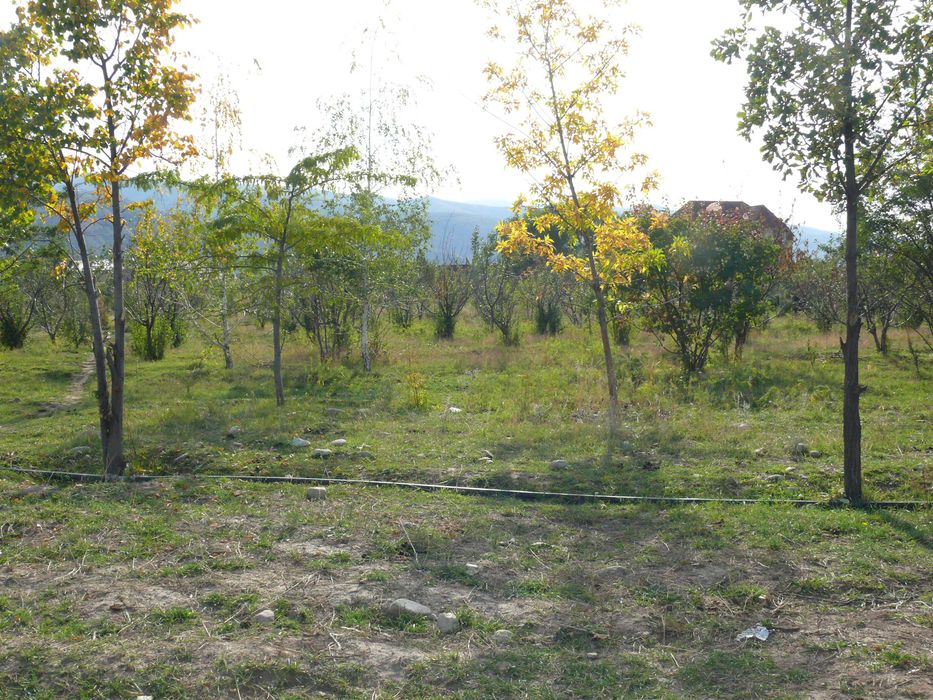 Продается дом с участком 2 гектара