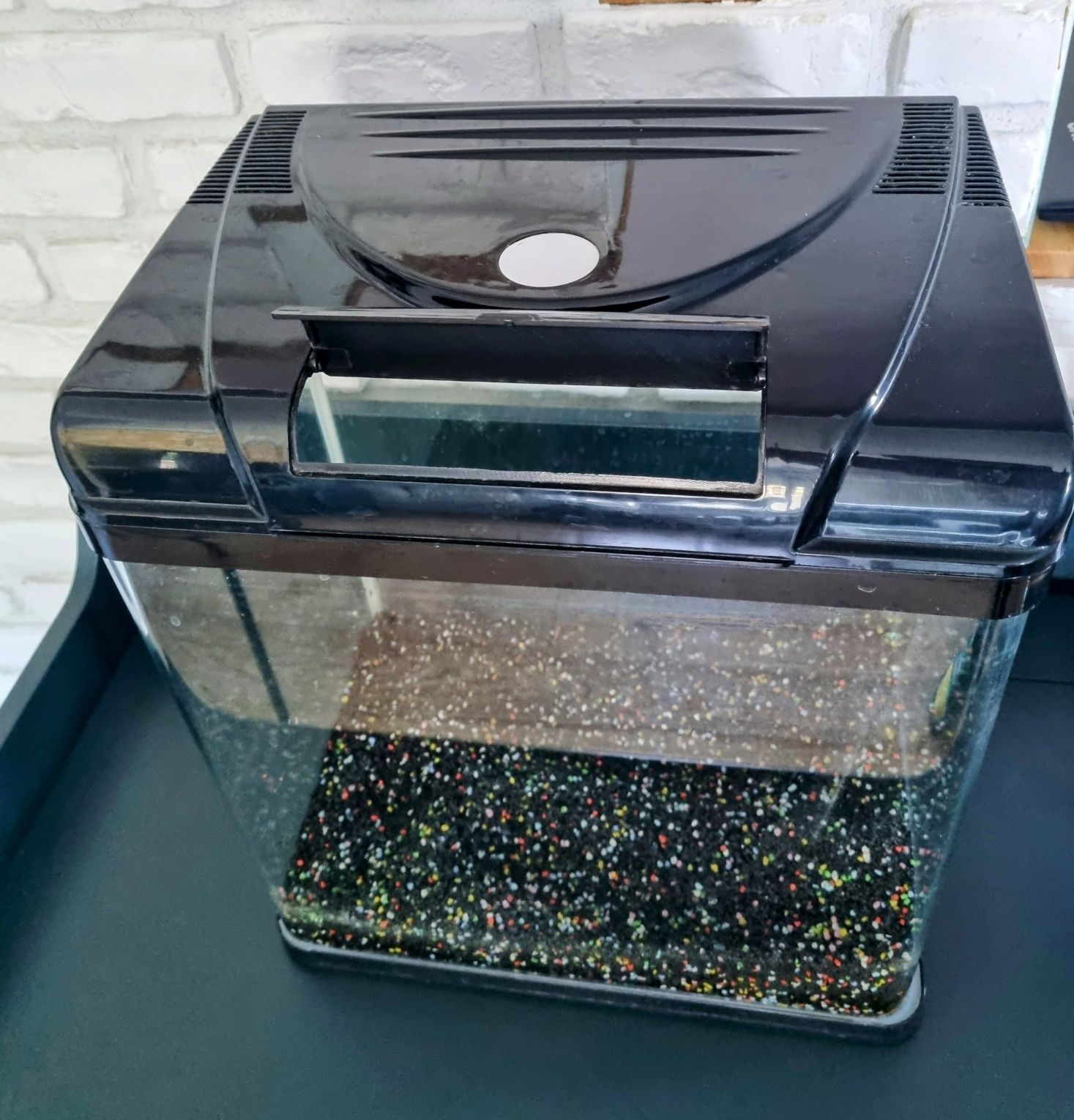 Acvariu margini rotunjite + accesorii